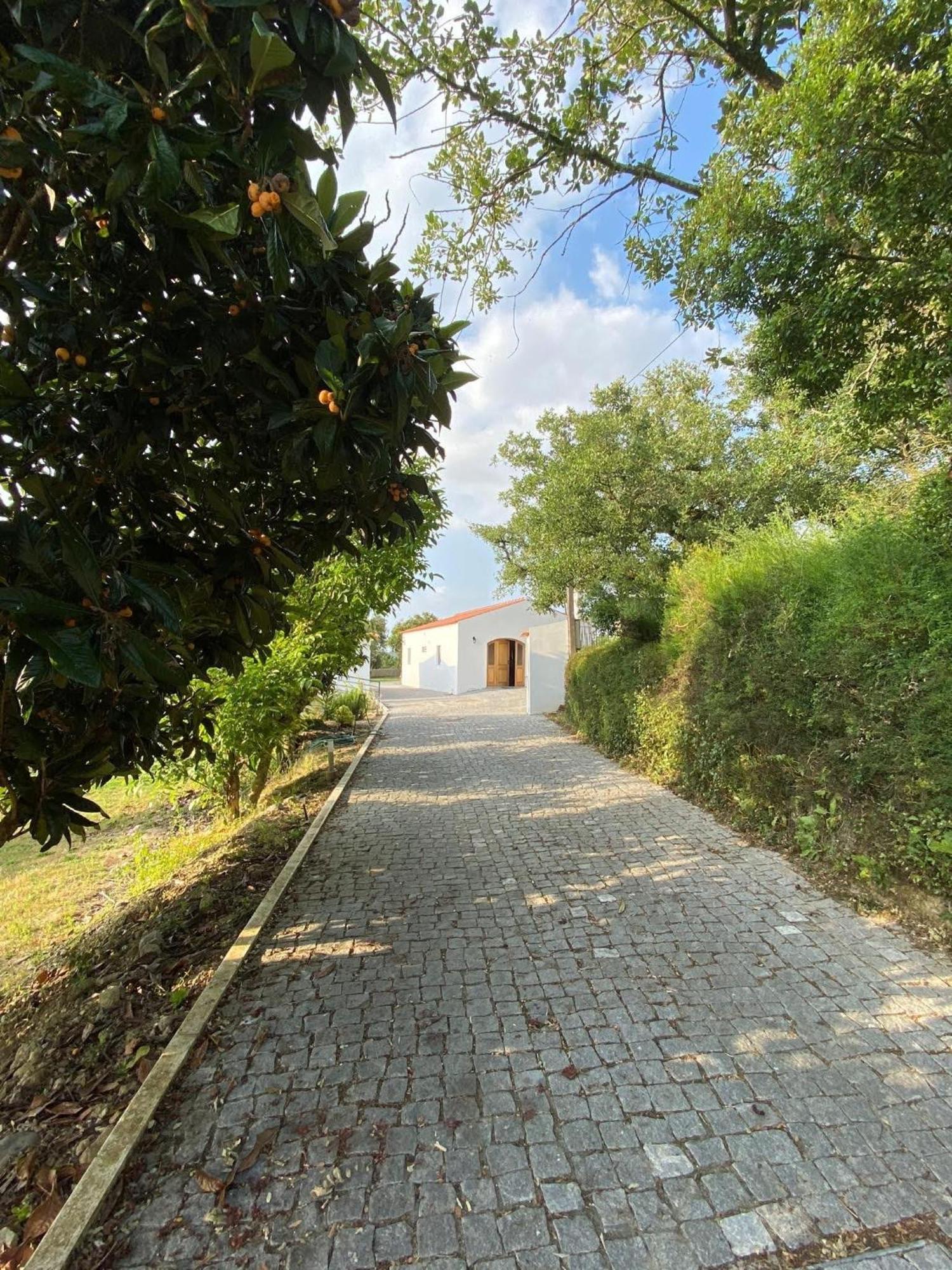 Quinta Boa Vida Vila Alcobaça Exterior foto